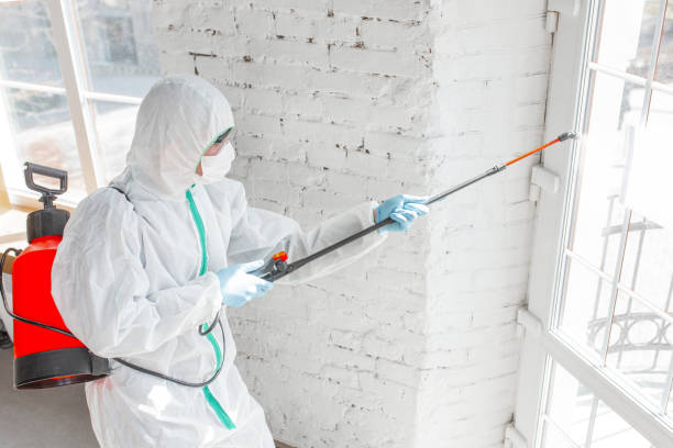 Best Mold Remediation for Healthcare Facilities  in USA